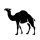 EASTERN CAMEL